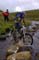 Kettlewell P White R___65