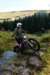 stewartoughton1_small.jpg