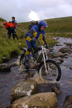 Kettlewell P White R___65